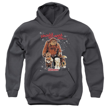 Labyrinth Should You Need Us Youth Hoodie (Ages 8-12) Youth Hoodie (Ages 8-12) Labyrinth   