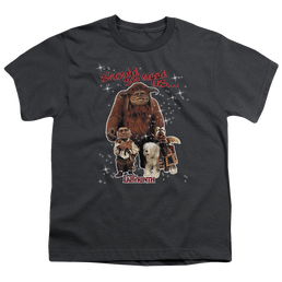 Labyrinth Should You Need Us Youth T-Shirt (Ages 8-12) Youth T-Shirt (Ages 8-12) Labyrinth   
