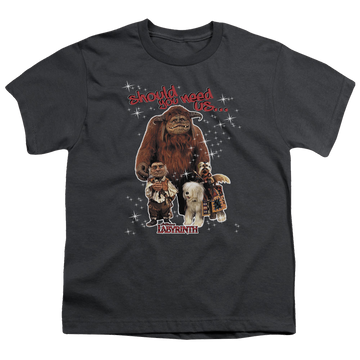 Labyrinth Should You Need Us Youth T-Shirt (Ages 8-12) Youth T-Shirt (Ages 8-12) Labyrinth   
