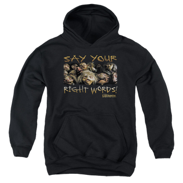 Labyrinth Say Your Right Words Youth Hoodie (Ages 8-12) Youth Hoodie (Ages 8-12) Labyrinth   