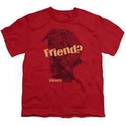 Labyrinth Ludo Friend Youth T-Shirt (Ages 8-12) Youth T-Shirt (Ages 8-12) Labyrinth   