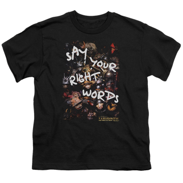 Labyrinth Right Words Youth T-Shirt (Ages 8-12) Youth T-Shirt (Ages 8-12) Labyrinth   