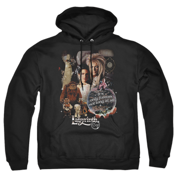 Labyrinth 25 Years Of Magic Pullover Hoodie Pullover Hoodie Labyrinth   