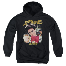 Labyrinth Dangers Untold Youth Hoodie (Ages 8-12) Youth Hoodie (Ages 8-12) Labyrinth   