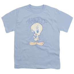 Looney Tunes Tweety Fade - Youth T-Shirt Youth T-Shirt (Ages 8-12) Looney Tunes   