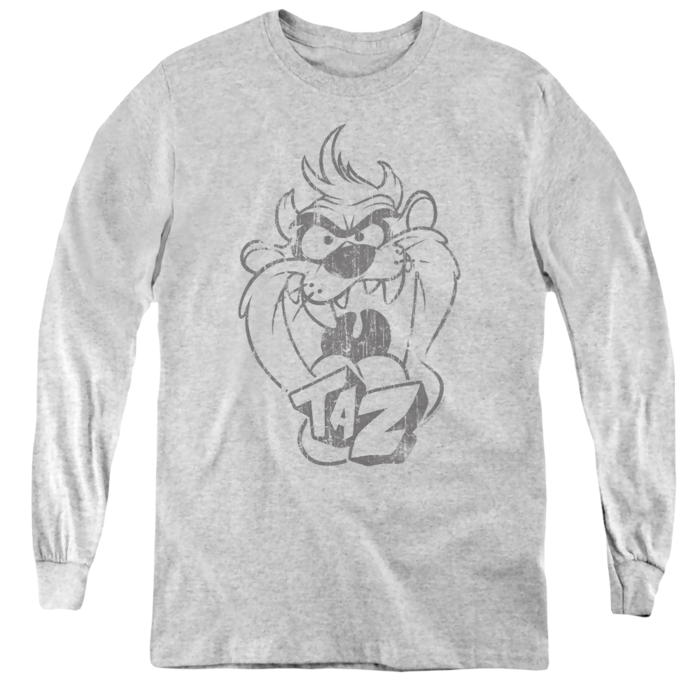 Looney Tunes Faded Taz - Youth Long Sleeve T-Shirt Youth Long Sleeve T-Shirt Looney Tunes   