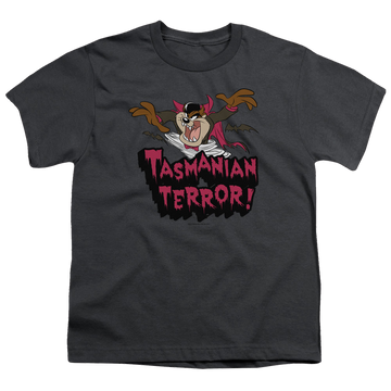 Charcoal youth t-shirt for ages 8 to 12 with Looney Tunes Taz Terror graphic
