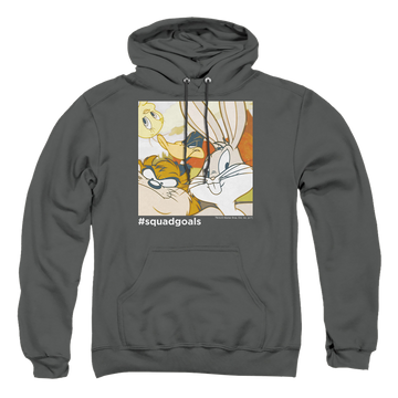 Charcoal pullover hoodie with Looney Tunes Squad Goals graphic
