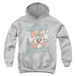 Looney Tunes Aint I A Stinker - Youth Hoodie Youth Hoodie (Ages 8-12) Looney Tunes   