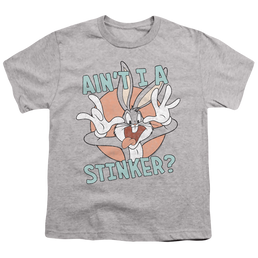 Looney Tunes Aint I A Stinker - Youth T-Shirt Youth T-Shirt (Ages 8-12) Looney Tunes   