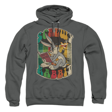 Charcoal pullover hoodie with Looney Tunes Screwy Rabbit graphic