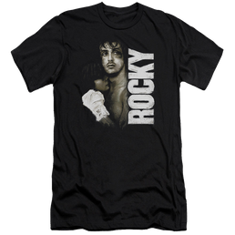 Rocky Painted Rocky - Men's Premium Slim Fit T-Shirt Men's Premium Slim Fit T-Shirt Rocky   
