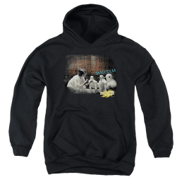 Mirrormask Bob Malcolm - Youth Hoodie Youth Hoodie (Ages 8-12) Mirrormask   
