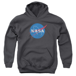 NASA Meatball Logo Distressed - Youth Hoodie Youth Hoodie (Ages 8-12) NASA   