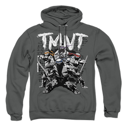 Teenage Mutant Ninja Turtles Tmnt Team - Pullover Hoodie Pullover Hoodie Teenage Mutant Ninja Turtles   