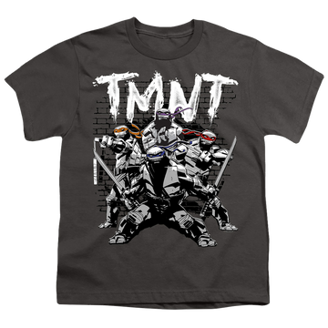 Charcoal youth t-shirt for ages 8 to 12 with Teenage Mutant Ninja Turtles Tmnt Team graphic