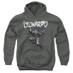 Teenage Mutant Ninja Turtles Tmnt Leonardo - Youth Hoodie Youth Hoodie (Ages 8-12) Teenage Mutant Ninja Turtles   