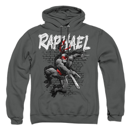 Teenage Mutant Ninja Turtles Tmnt Raphael - Pullover Hoodie Pullover Hoodie Teenage Mutant Ninja Turtles   