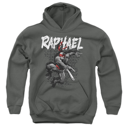 Teenage Mutant Ninja Turtles Tmnt Raphael - Youth Hoodie Youth Hoodie (Ages 8-12) Teenage Mutant Ninja Turtles   