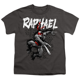 Teenage Mutant Ninja Turtles Tmnt Raphael - Youth T-Shirt Youth T-Shirt (Ages 8-12) Teenage Mutant Ninja Turtles   