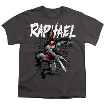 Charcoal youth t-shirt for ages 8 to 12 with Teenage Mutant Ninja Turtles Tmnt Raphael graphic