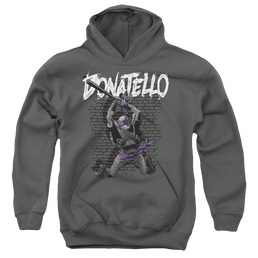 Teenage Mutant Ninja Turtles Tmnt Donatello - Youth Hoodie Youth Hoodie (Ages 8-12) Teenage Mutant Ninja Turtles   