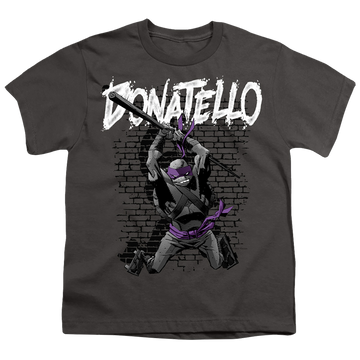 Charcoal youth t-shirt for ages 8 to 12 with Teenage Mutant Ninja Turtles Tmnt Donatello graphic