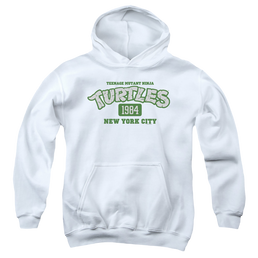 Teenage Mutant Ninja Turtles Est. 1984 Nyc - Youth Hoodie Youth Hoodie (Ages 8-12) Teenage Mutant Ninja Turtles   