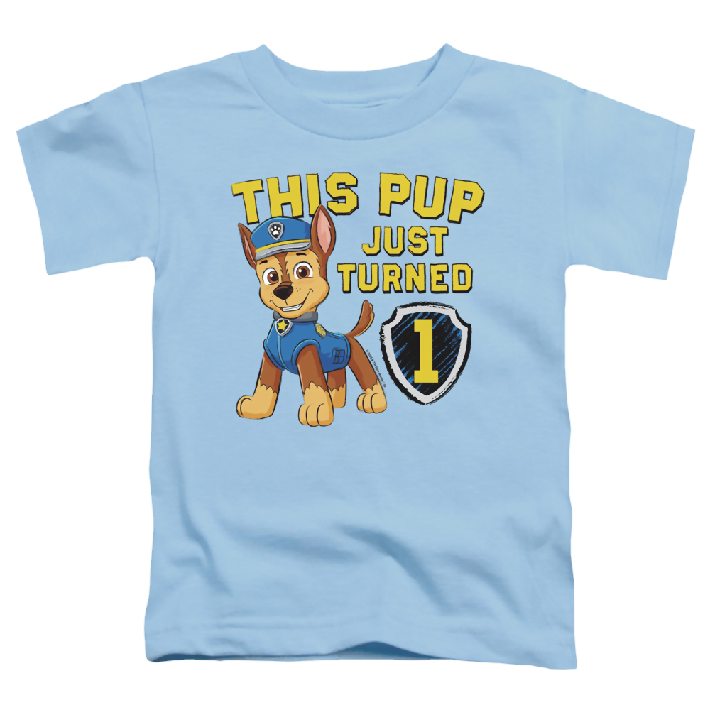 Paw Patrol This Pup'S Birthday - Toddler T-Shirt Toddler T-Shirt Paw Patrol   