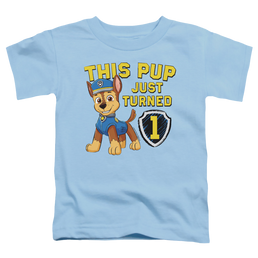 Paw Patrol This Pup'S Birthday - Toddler T-Shirt Toddler T-Shirt Paw Patrol   