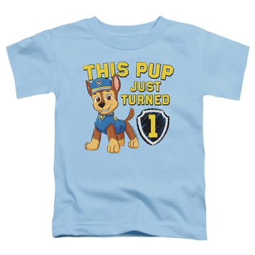 Light blue toddler t-shirt with Paw Patrol This Pup's Birthday graphic