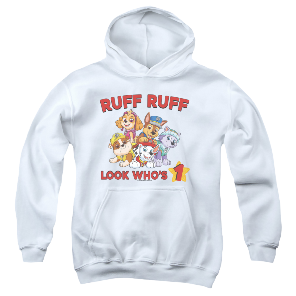 Paw Patrol Ruff Ruff Birthday - Youth Hoodie Youth Hoodie (Ages 8-12) Paw Patrol   