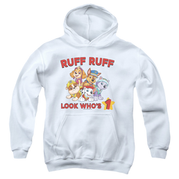 Paw Patrol Ruff Ruff Birthday - Youth Hoodie Youth Hoodie (Ages 8-12) Paw Patrol   
