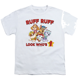 Paw Patrol Ruff Ruff Birthday - Youth T-Shirt Youth T-Shirt (Ages 8-12) Paw Patrol   