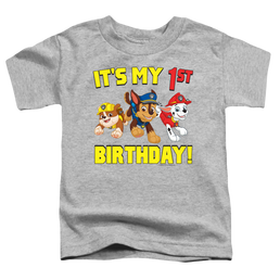 Paw Patrol Group Happy Birthday - Toddler T-Shirt Toddler T-Shirt Paw Patrol   