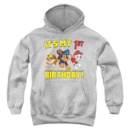 Paw Patrol Group Happy Birthday - Youth Hoodie Youth Hoodie (Ages 8-12) Paw Patrol   