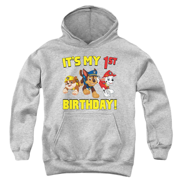 Athletic heather youth hoodie for ages 8 to 12 with Paw Patrol Group Happy Birthday graphic