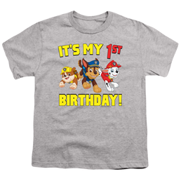 Paw Patrol Group Happy Birthday - Youth T-Shirt Youth T-Shirt (Ages 8-12) Paw Patrol   
