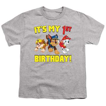 Athletic heather youth t-shirt for ages 8 to 12 with Paw Patrol Group Happy Birthday graphic