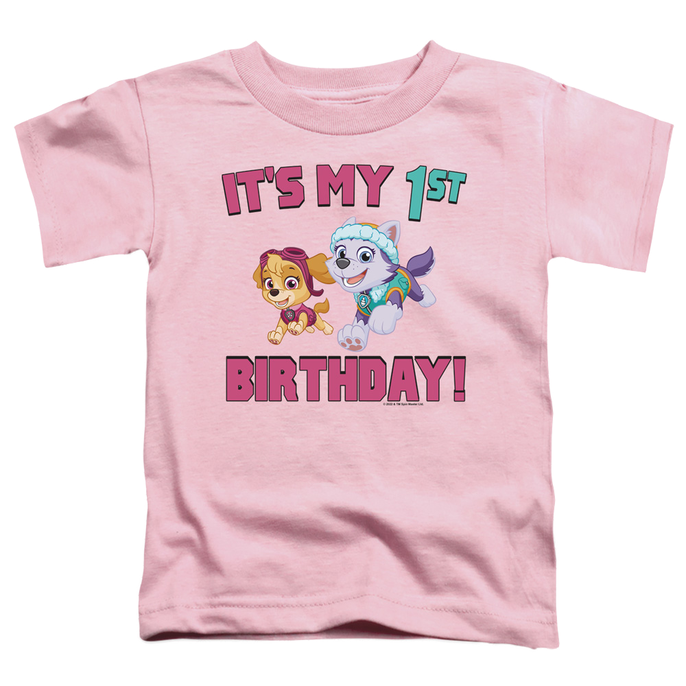 Paw Patrol Girl Group Happy Birthday - Toddler T-Shirt Toddler T-Shirt Paw Patrol   