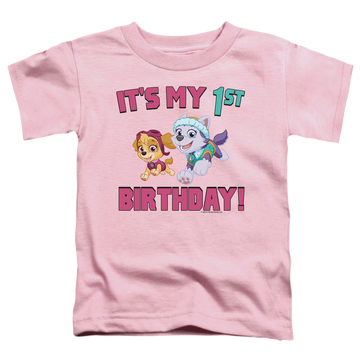 Pink toddler t-shirt with Paw Patrol Girl Group Happy Birthday graphic