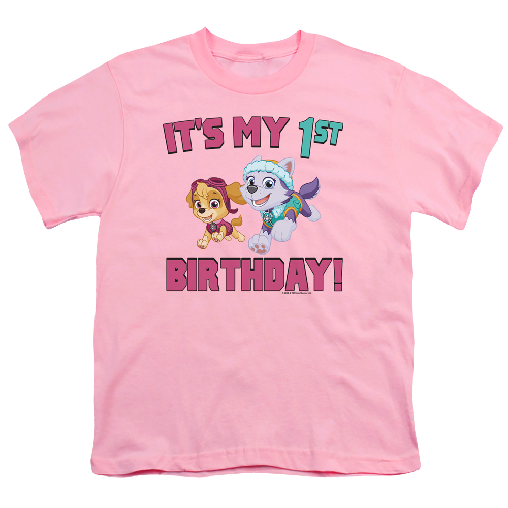 Paw Patrol Girl Group Happy Birthday - Youth T-Shirt Youth T-Shirt (Ages 8-12) Paw Patrol   