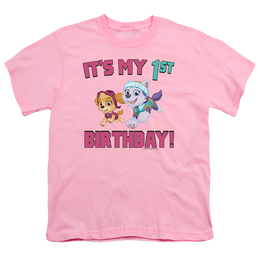 Paw Patrol Girl Group Happy Birthday - Youth T-Shirt Youth T-Shirt (Ages 8-12) Paw Patrol   