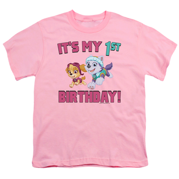 Pink youth t-shirt for ages 8 to 12 with Paw Patrol Girl Group Happy Birthday graphic