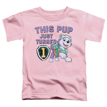 Pink toddler t-shirt with Paw Patrol This Pup Girl Birthday graphic