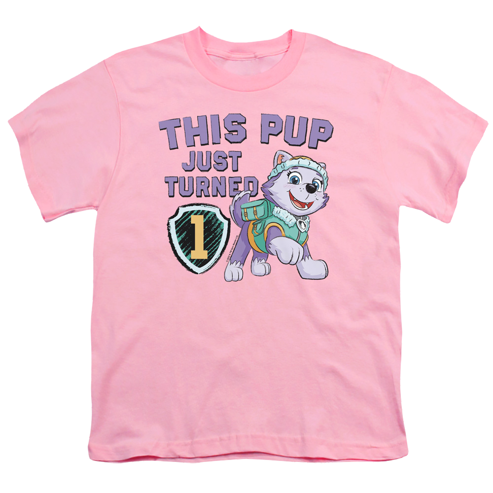 Paw Patrol This Pup Girl Birthday - Youth T-Shirt Youth T-Shirt (Ages 8-12) Paw Patrol   
