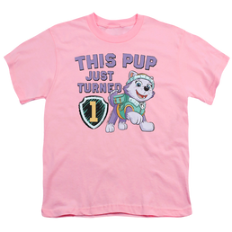 Paw Patrol This Pup Girl Birthday - Youth T-Shirt Youth T-Shirt (Ages 8-12) Paw Patrol   