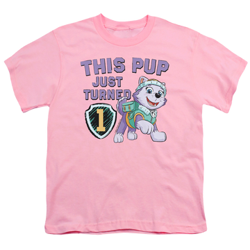 Pink youth t-shirt for ages 8 to 12 with Paw Patrol This Pup Girl Birthday graphic