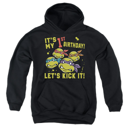 Teenage Mutant Ninja Turtles Outta My Way - Youth Hoodie Youth Hoodie (Ages 8-12) Teenage Mutant Ninja Turtles   