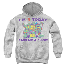 Teenage Mutant Ninja Turtles Pizza Birthday - Youth Hoodie Youth Hoodie (Ages 8-12) Teenage Mutant Ninja Turtles   